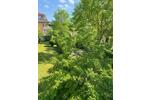 Etagenwohnung Kirchheim bei München - 2 Zimmer, 47 m&sup2;, 420.000&euro; | Angebot:27108409