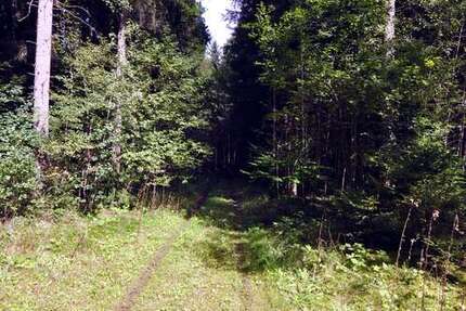 Grundstück in Oberbiberg 123.000 € 10700 m² zimmer