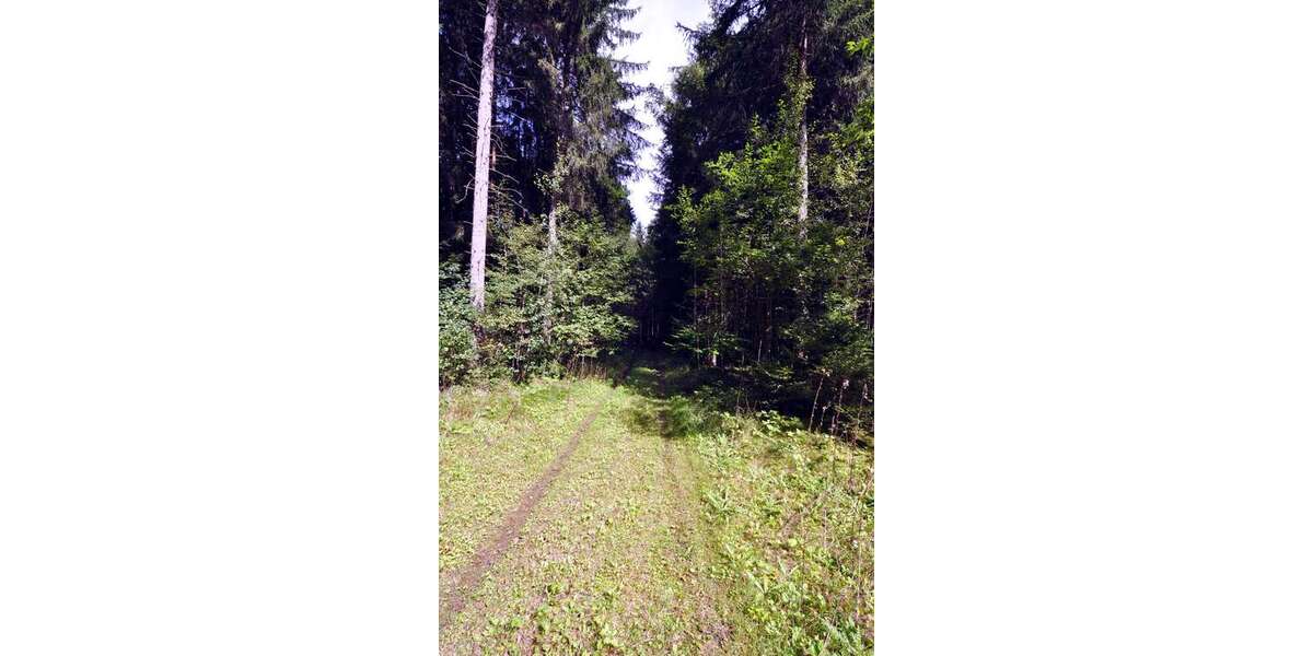 Grundstück Oberbiberg Oberbiberg - 123.000&euro; | Angebot:24607804
