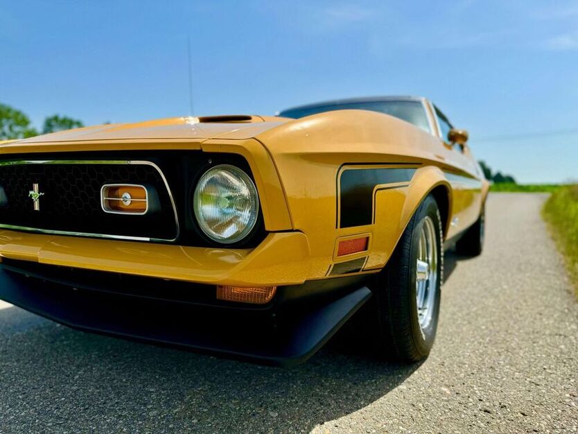 Mustang