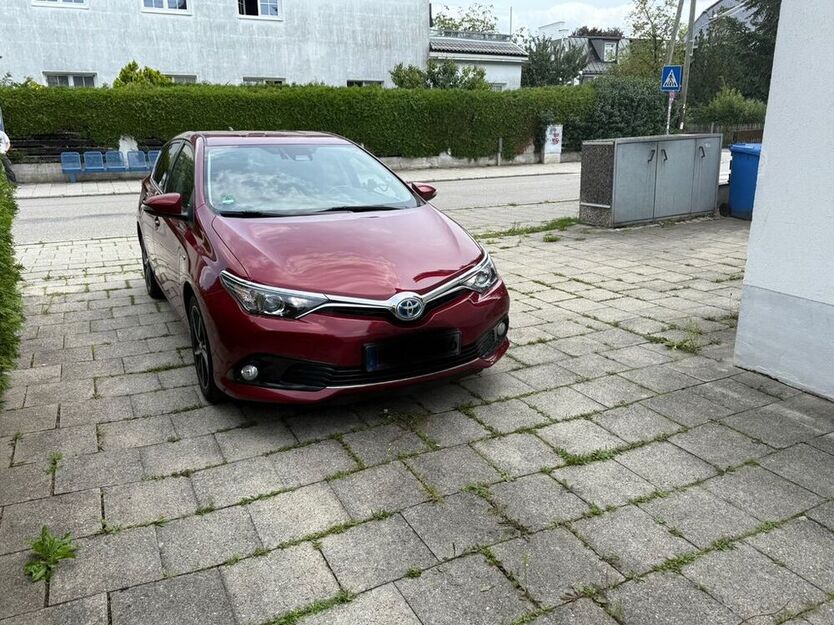 Auris
