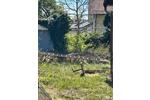Doppelhaushälfte Feldafing - 4 Zimmer, 100 m&sup2;, 679.000&euro; | Angebot:26395337
