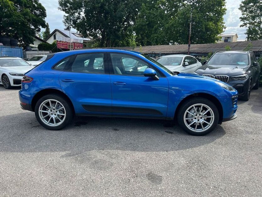 Macan