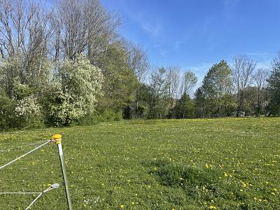 INVESTMENT IN IHRE ZUKUNFT- KAUFEN SIE LAND - Grundstück Berg | Angebot:27082332