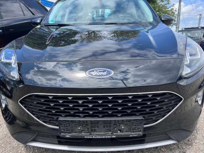 Kuga