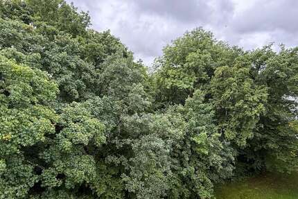 Wohnung zum Kaufen in Haar 529.000 € 75.21 m² 3 zimmer