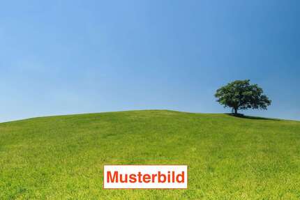 Grundstück zu verkaufen in München 1.210.000 € 574 m² zimmer