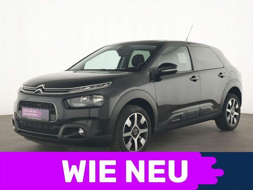 C4 Cactus