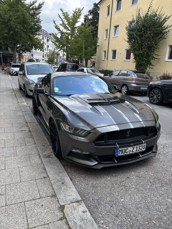 Mustang
