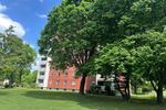 Etagenwohnung München Aubing-Lochhausen-Langwied - 1 Zimmer, 26 m&sup2;, 750&euro; | Angebot:26414798