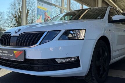 Skoda Octavia 166.000 km 11.390 &euro; Forstinning bei München 85661