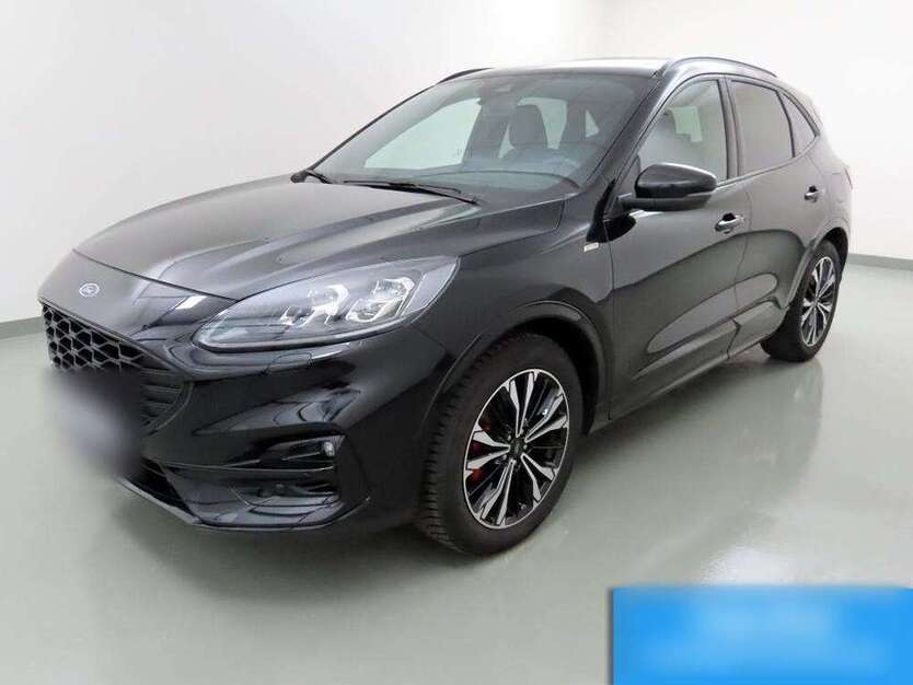 Kuga