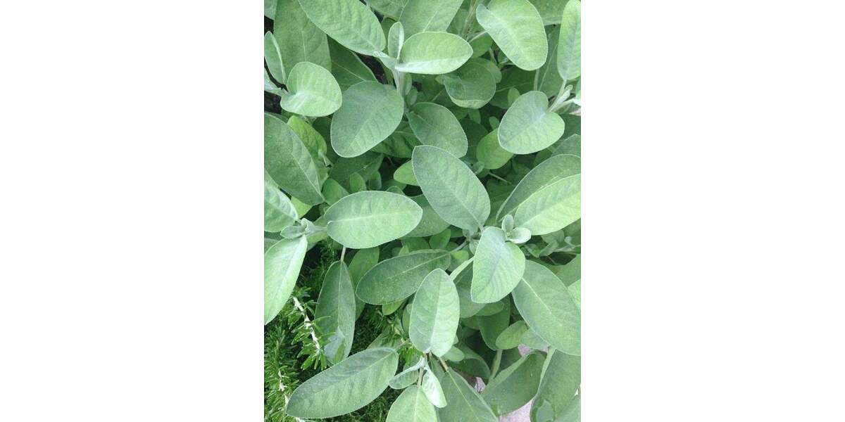 Grundstück Olching - 345.000&euro; | Angebot:25746712