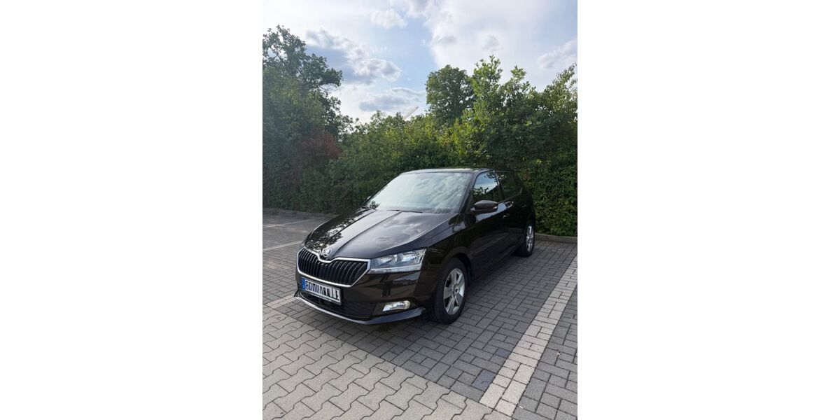 Skoda Fabia 99.000 km 9.500 &euro; Fürstenfeldbruck 82256