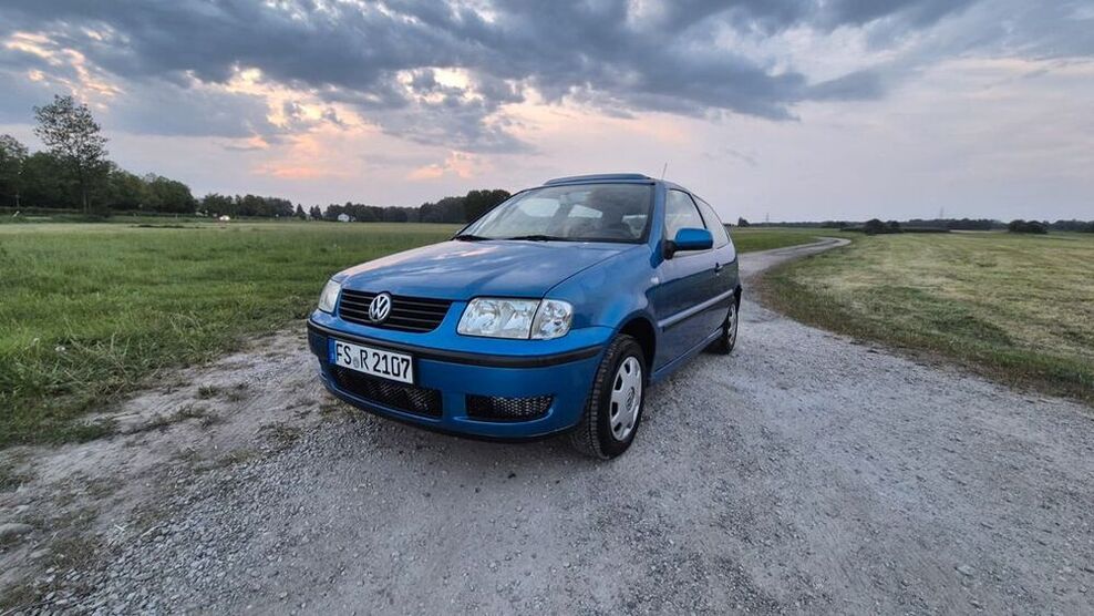 Polo
