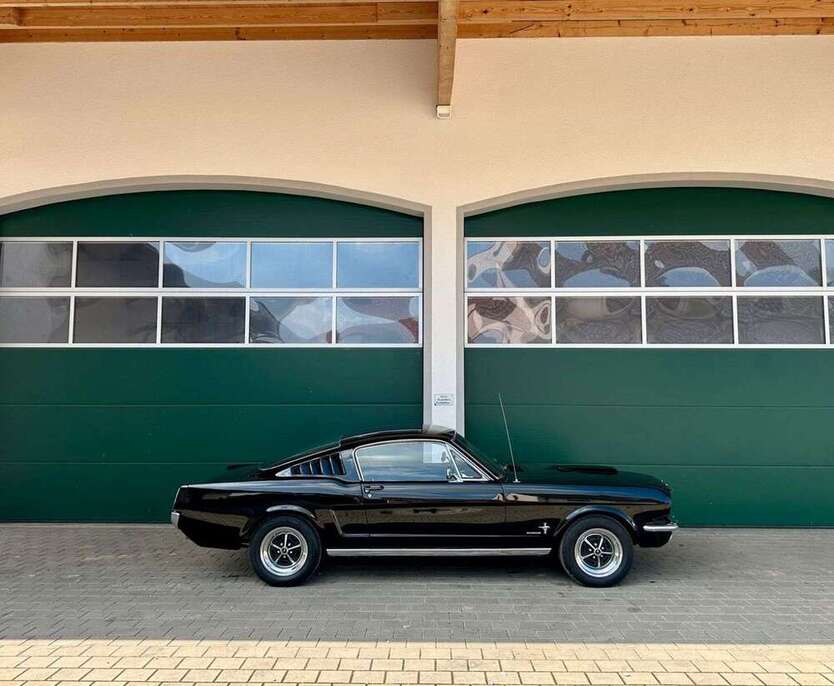 Mustang
