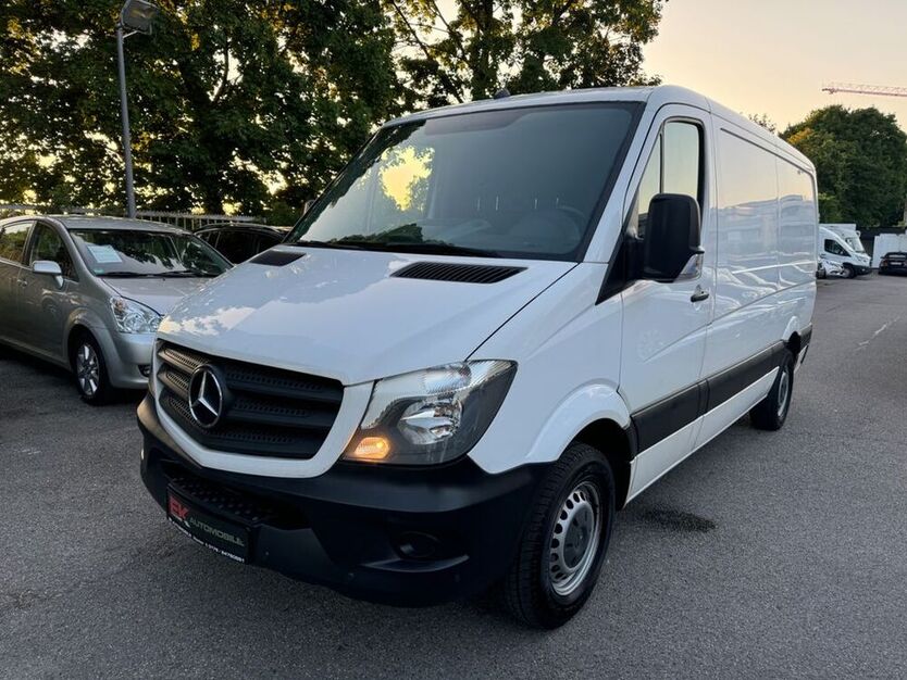Sprinter