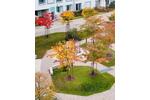 Etagenwohnung München Aubing-Lochhausen-Langwied - 3 Zimmer, 81 m&sup2;, 835.000&euro; | Angebot:27144983