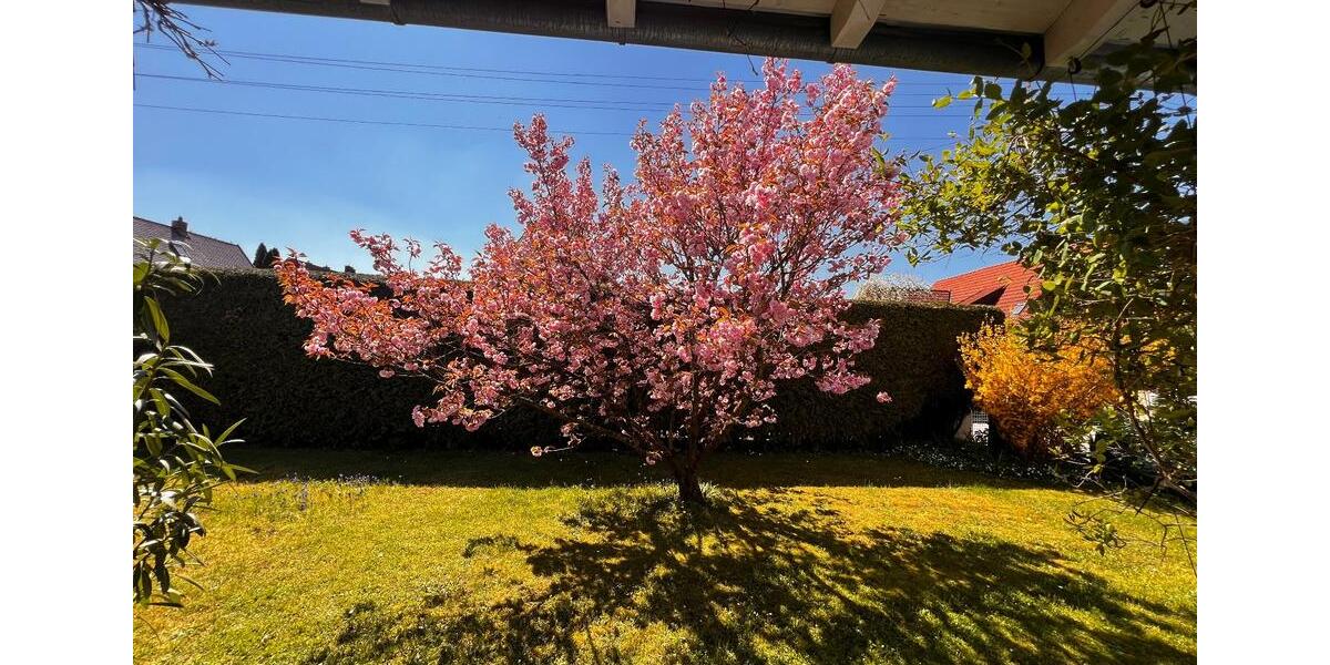 Einfamilienhaus Emmering - 5 Zimmer, 160 m&sup2;, 567.000&euro; | Angebot:26612366