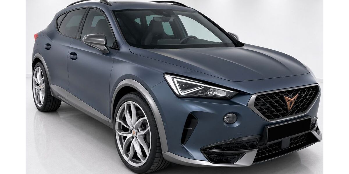 Cupra Formentor 73.170 km 27.999 &euro; Aschheim 85609