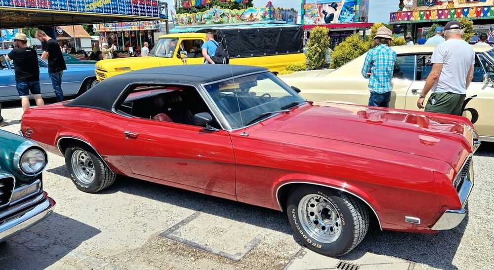 Cougar