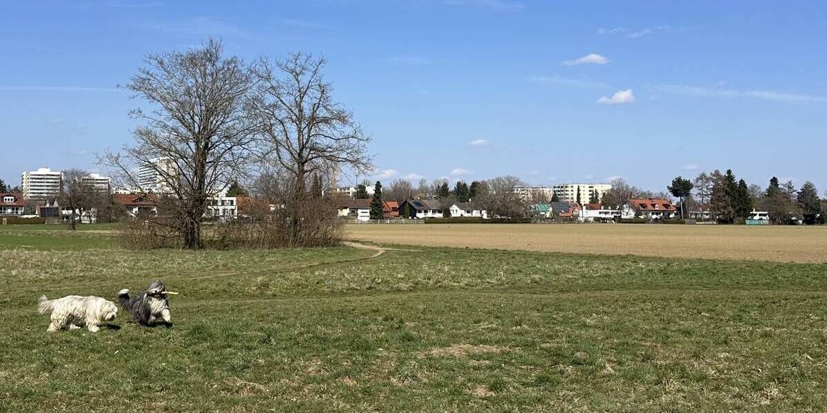 Etagenwohnung München Thalk.Obersendl.-Forsten-Fürstenr.-Solln - 2 Zimmer, 48 m&sup2;, 345.000&euro; | Angebot:26160778