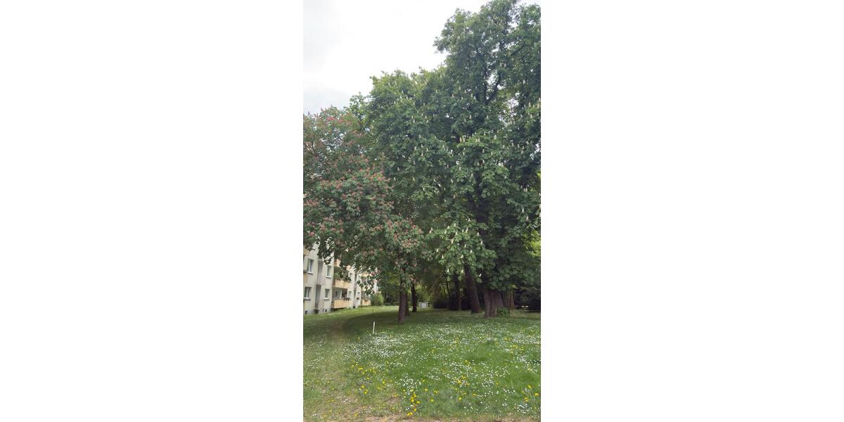 Etagenwohnung München Bogenhausen - 3 Zimmer, 70 m&sup2;, 577.000&euro; | Angebot:26482154
