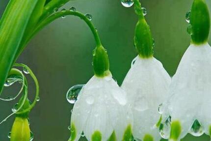 2 Zimmer Wohnung 74 qm mit Balkon in München Ebersberg 2 zimmer