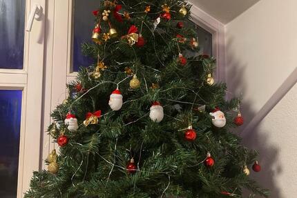 Kurzzeitvermietung eines Zimmers, bevorzugt weiblich] 3 zimmer