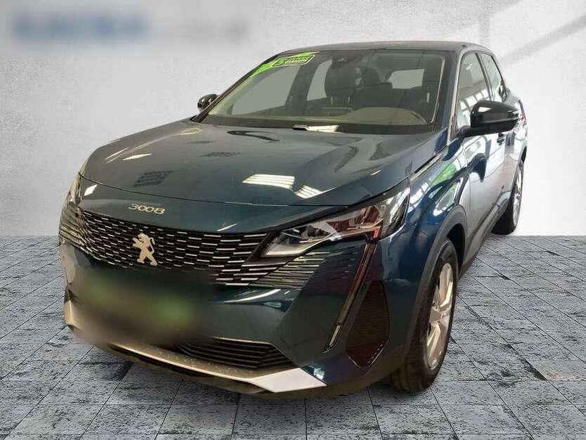 3008