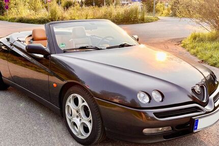 Alfa Romeo Spider 290.000 km 3.500 &euro; München 80805