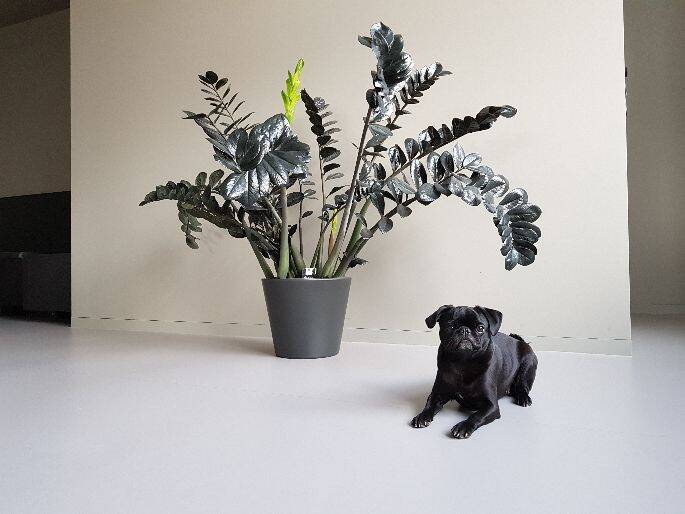 Gewerbeobjekt Aschheim Dornach - 300&euro; | Angebot:25864295