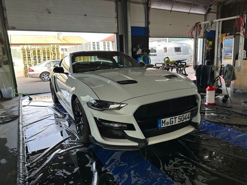 Mustang