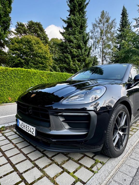 Macan