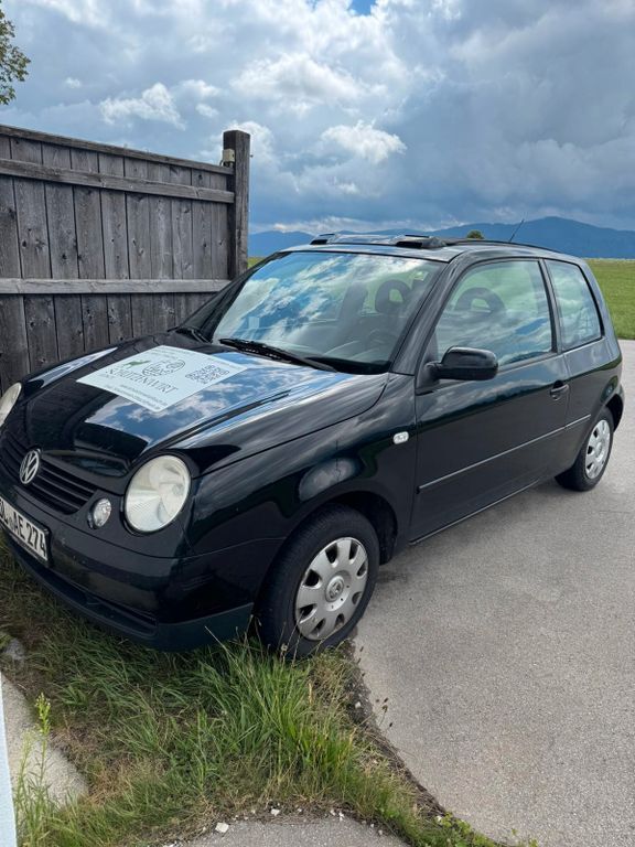 Lupo