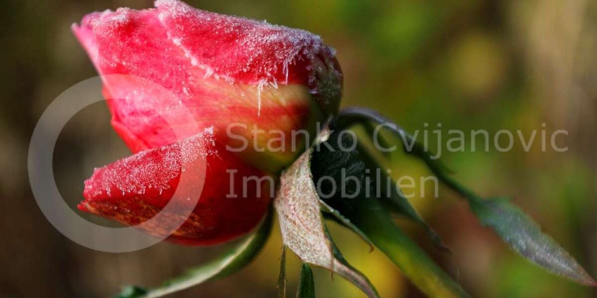 Grundstück Dachau - 819.950&euro; | Angebot:24646760