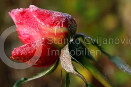 Grundstück zu verkaufen in Dachau 819.950 € 600 m² zimmer