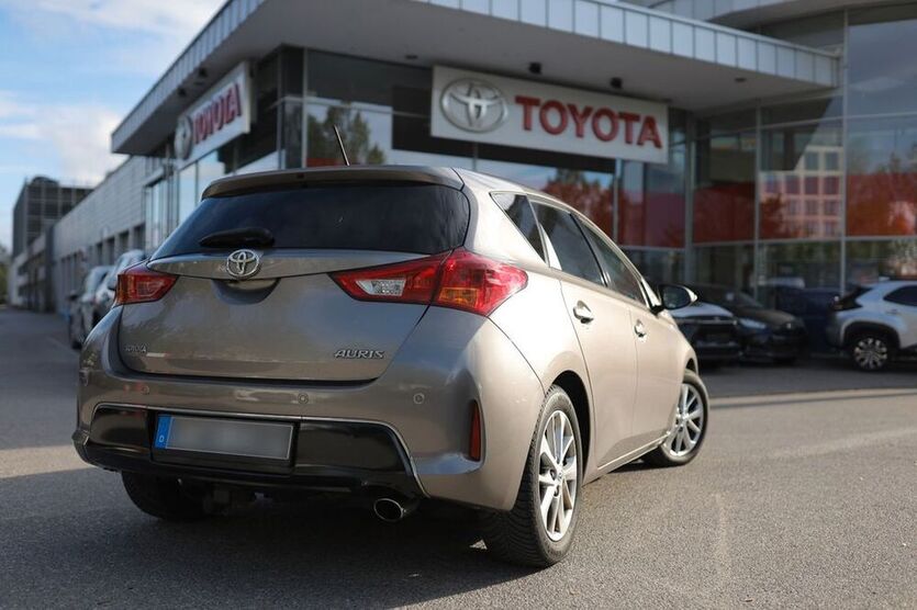 Auris