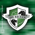 TSV Hannover-Burgdorf - HSG Wetzlar