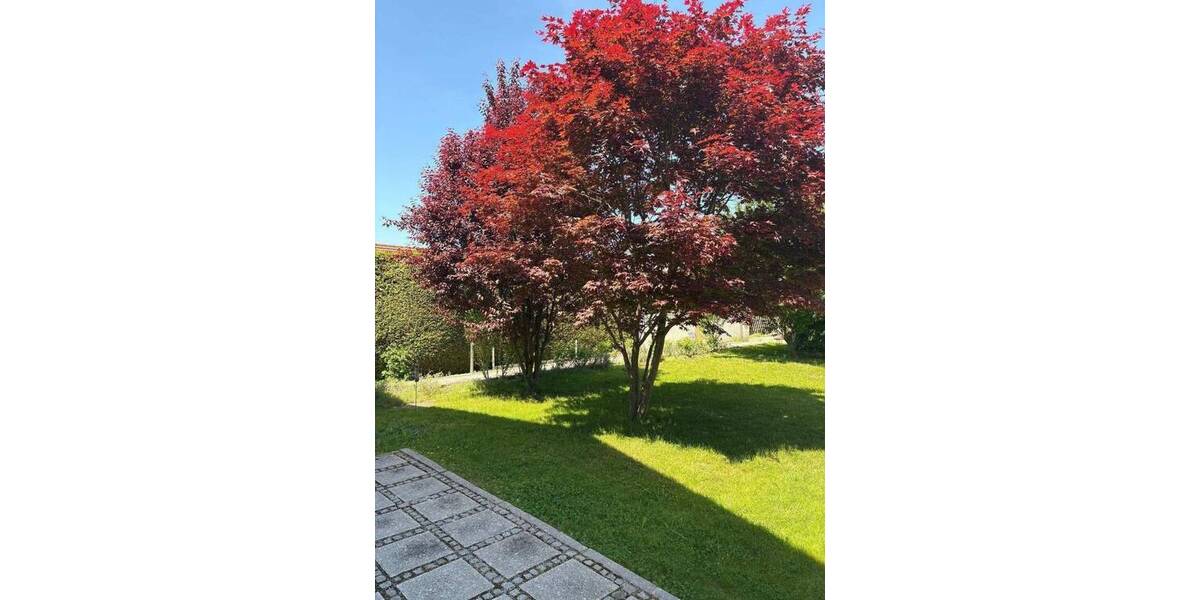 Einfamilienhaus München Berg am Laim - 4 Zimmer, 156 m&sup2;, 969.000&euro; | Angebot:26929252