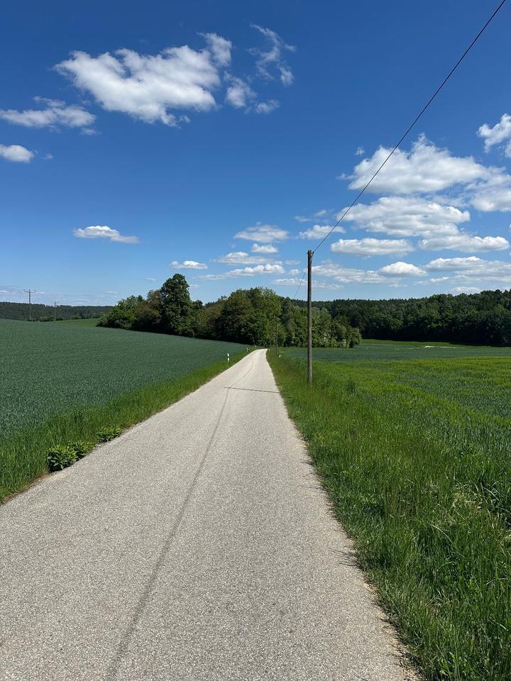 Einfirsthof mit Potenzial und altem Baumbestand – Nähe Dingolfing