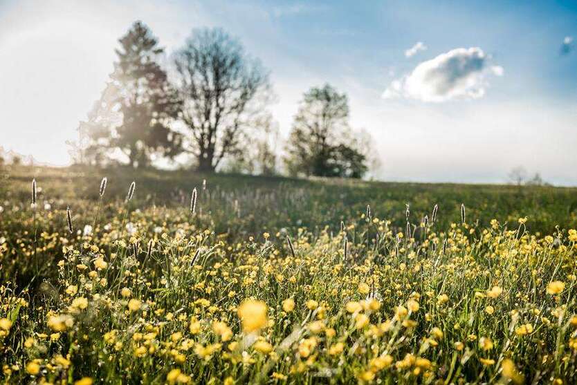 Grundstück zu verkaufen in Warngau 465.000 € 372 m²