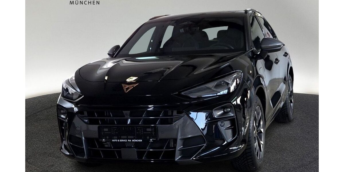 Cupra Terramar 9.800 km 39.960 &euro; München 80935