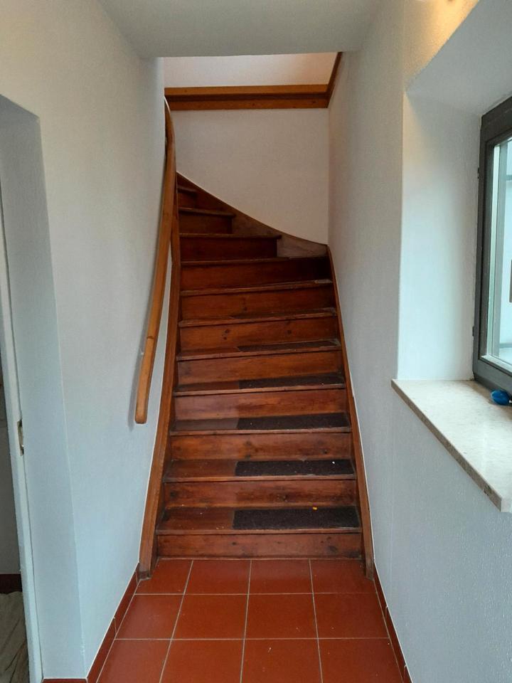 Wohnung zu vermieten zimmer