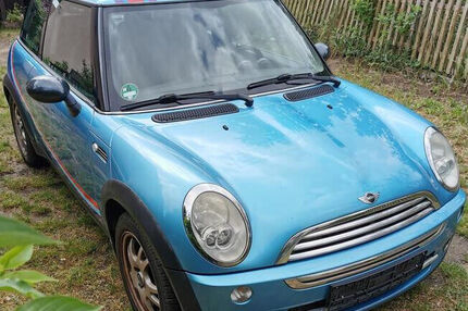 Mini Mini (alt)