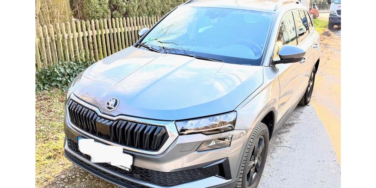 Skoda Karoq 45.000 km 24.200 &euro; München 80993