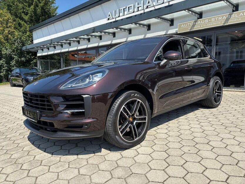 Macan