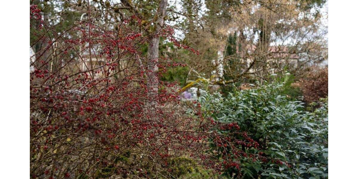 Doppelhaushälfte Vaterstetten Baldham - 5 Zimmer, 110 m&sup2;, 875.000&euro; | Angebot:25782537