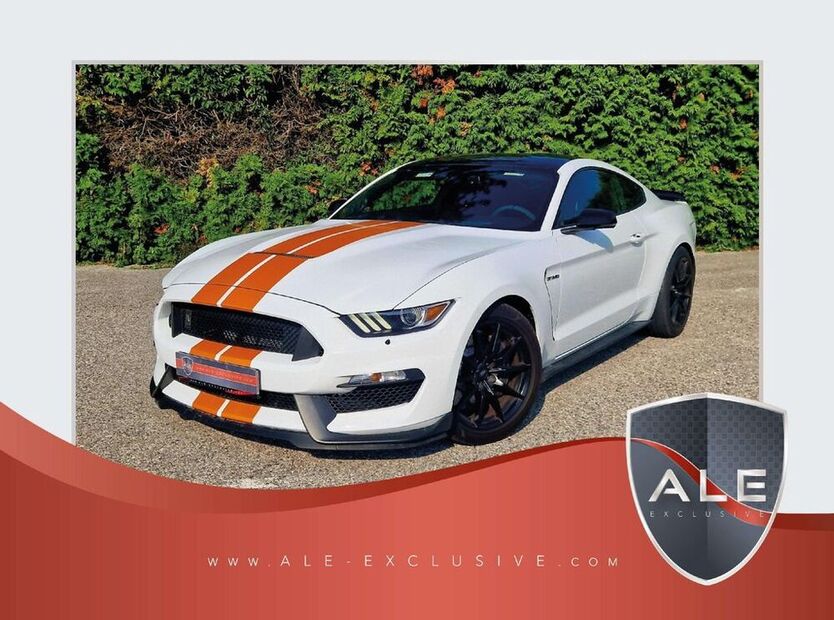 Mustang