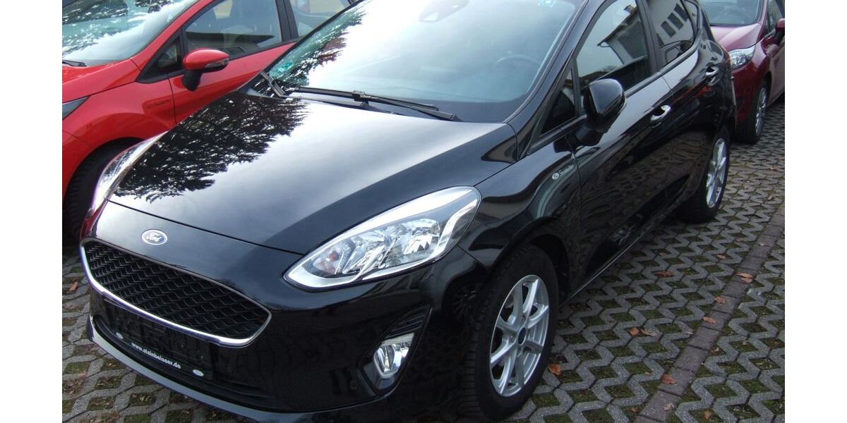 Ford Fiesta 110.050 km 11.500 &euro; Glonn 85625